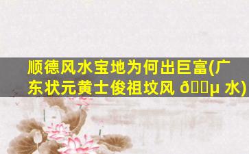 顺德风水宝地为何出巨富(广东状元黄士俊祖坟风 🐵 水)